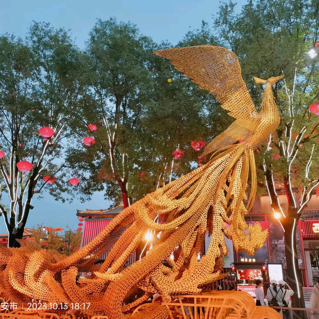 为明天去奋斗