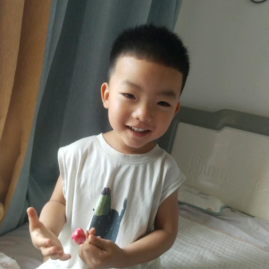 专业种植合作社