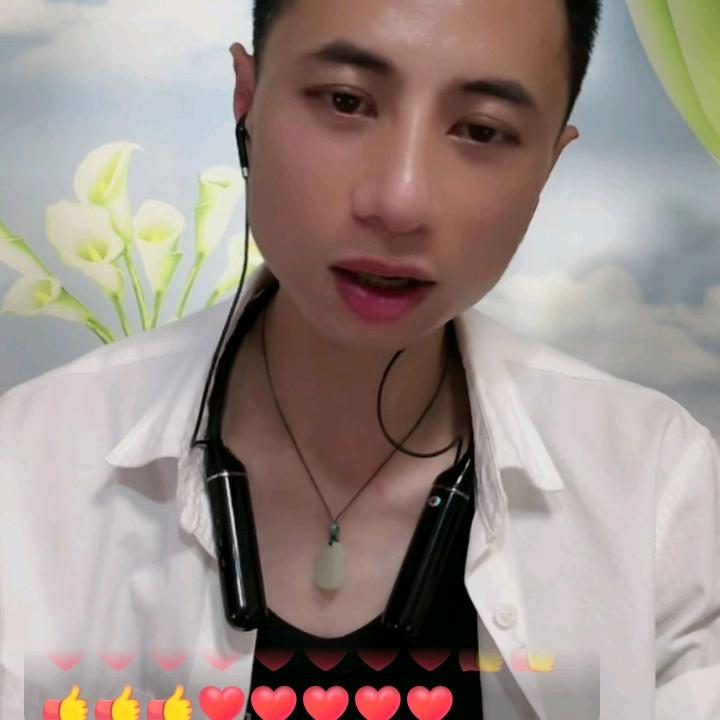 杨小杨小杨