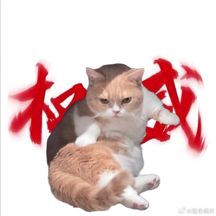 布灯灯