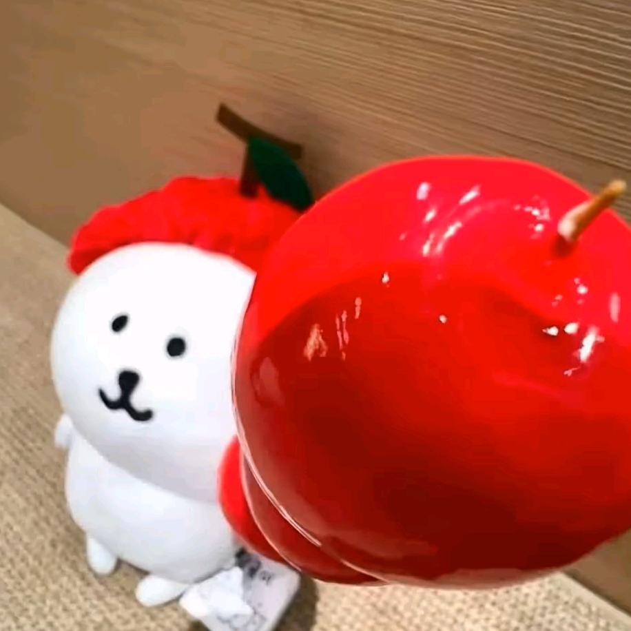 安安 ᗜ𖥦ᗜ