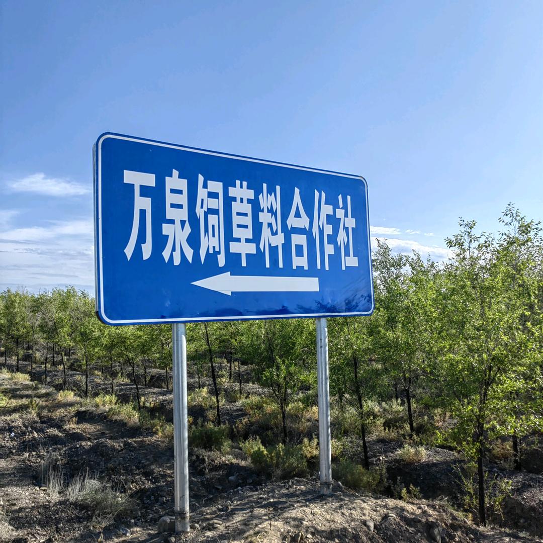 奇台总场万泉饲料合作社王顺