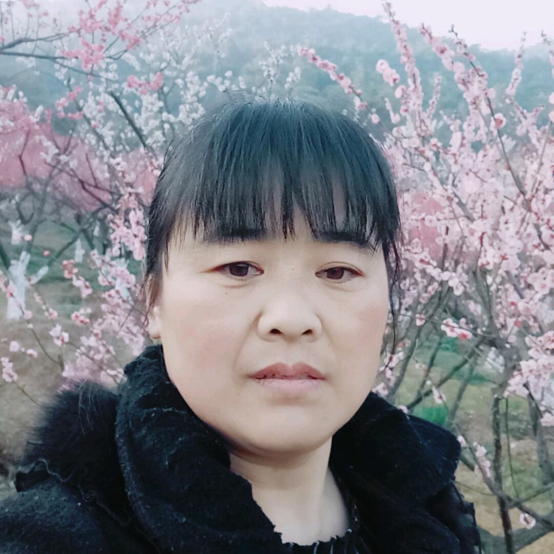 杨姐姊妹的日常生活