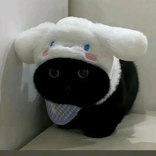 鱿鱼姐姐（接🥣