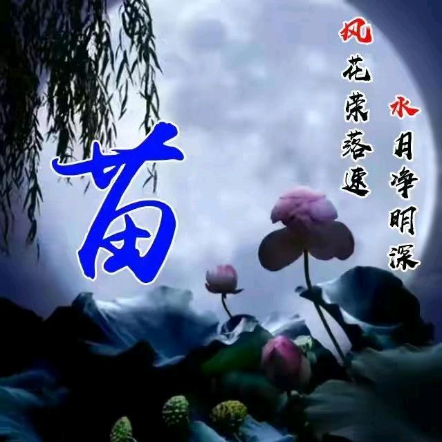 苗姐