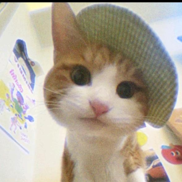 叔丁基对苯二酚