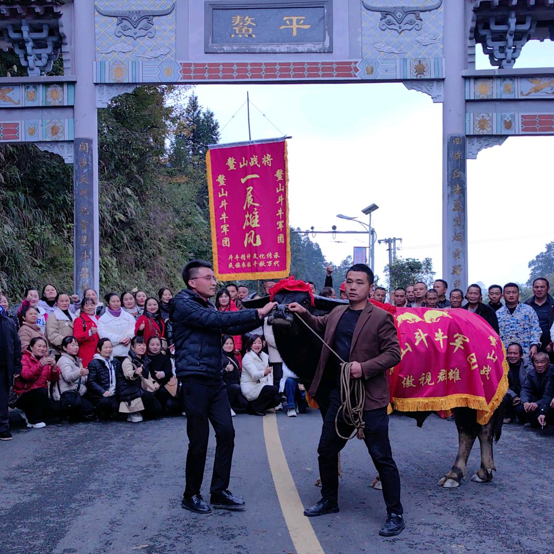 锦屏无人机吊运