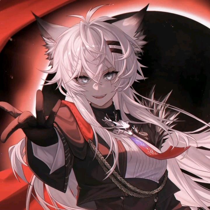 敗犬🐈‍⬛