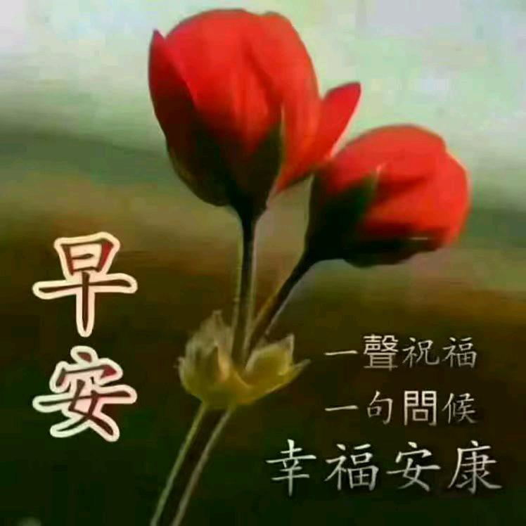 顺其自然