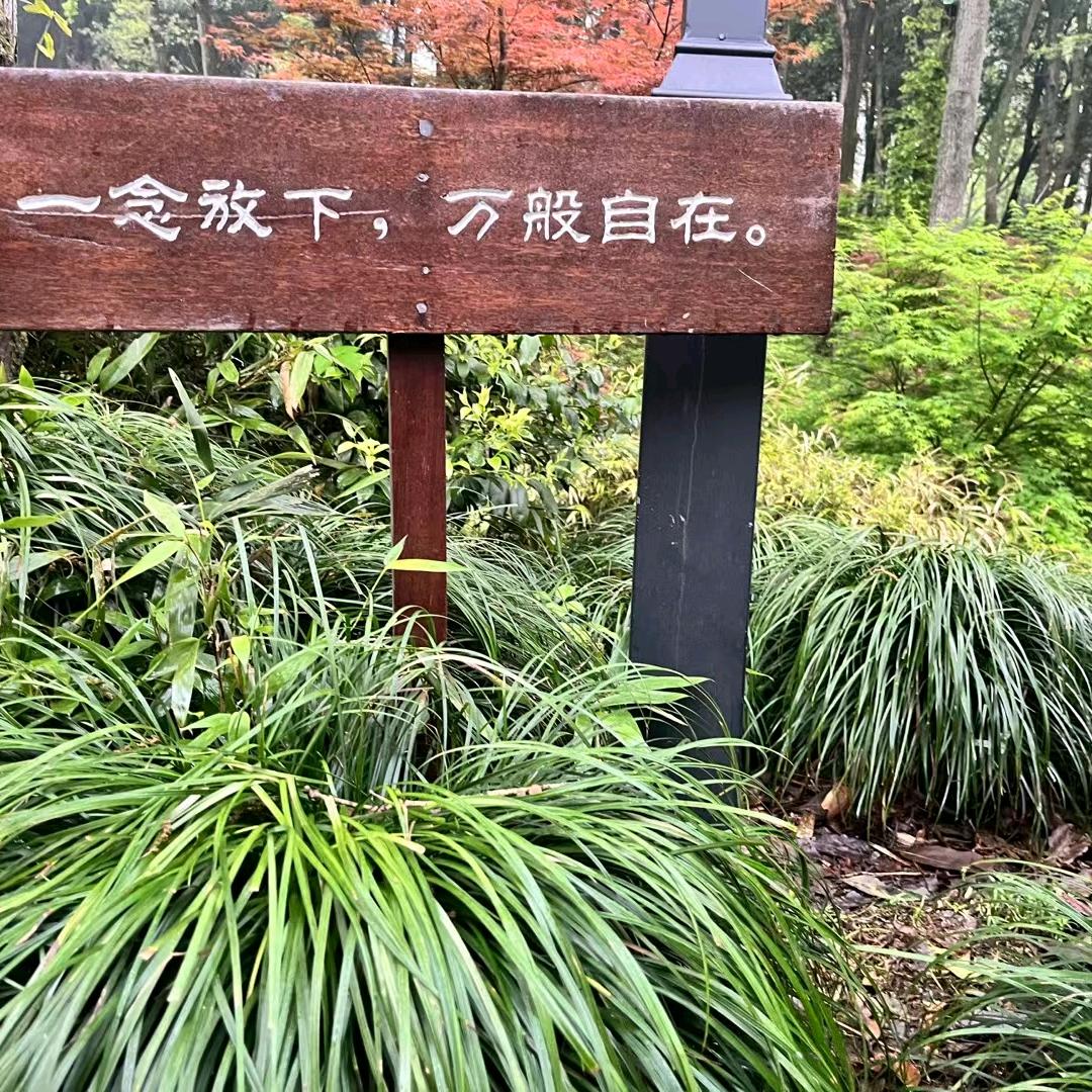 假装的虚伪🙄
