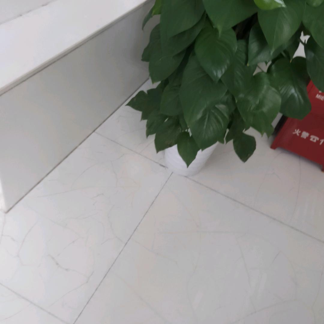 人生几万天
