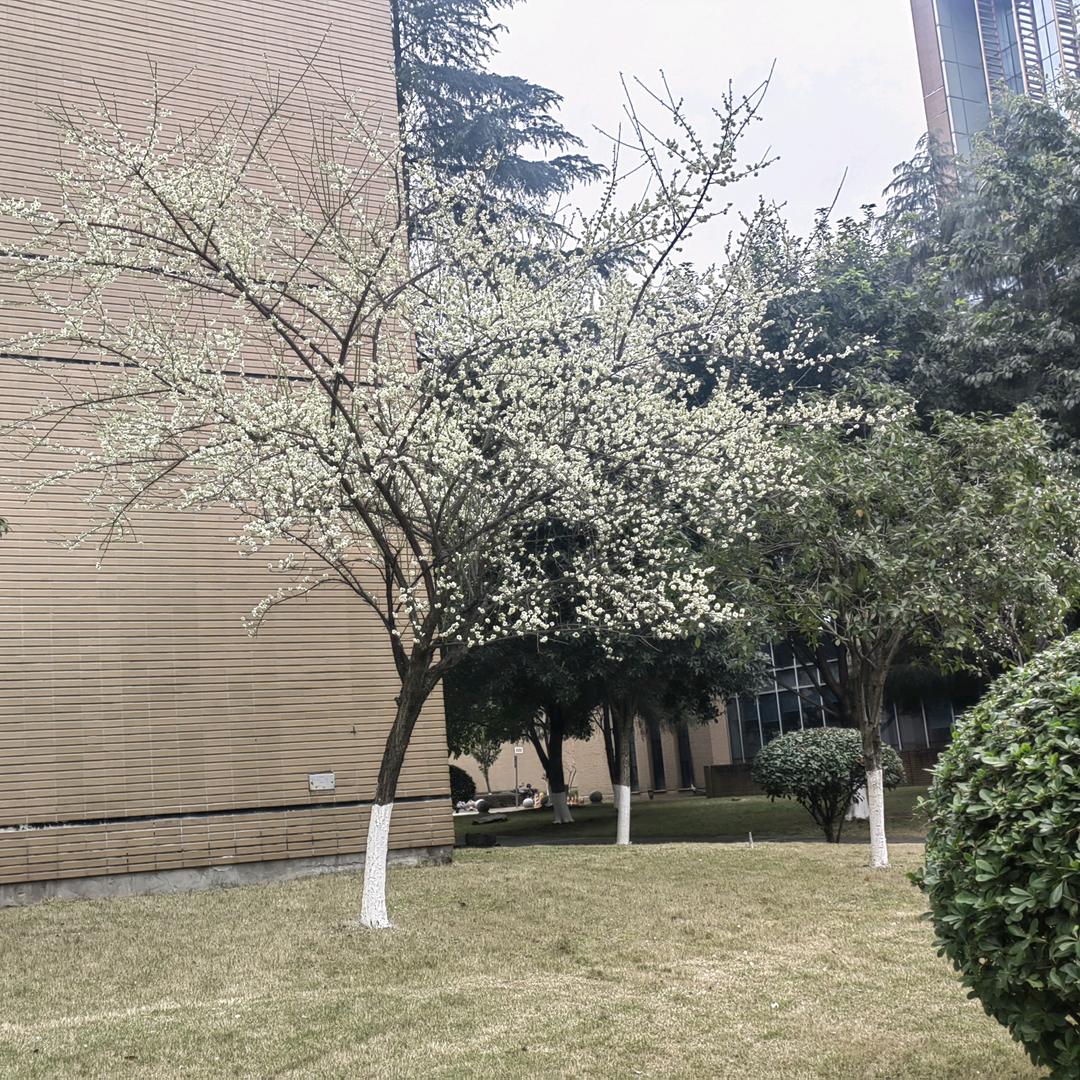 幼师离职后的生活状态