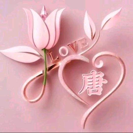蔷薇若开愿君同在