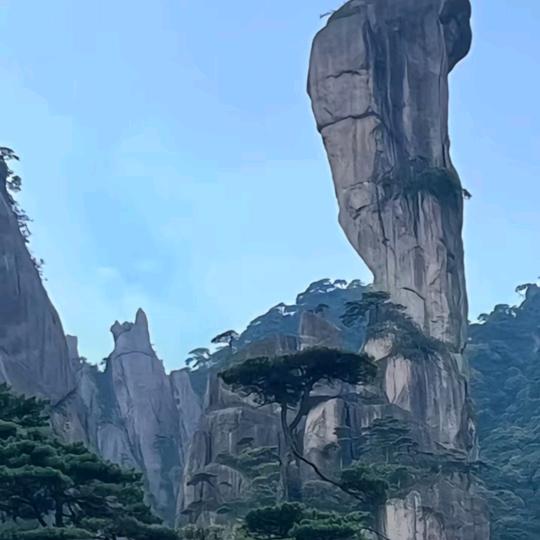 童庆发