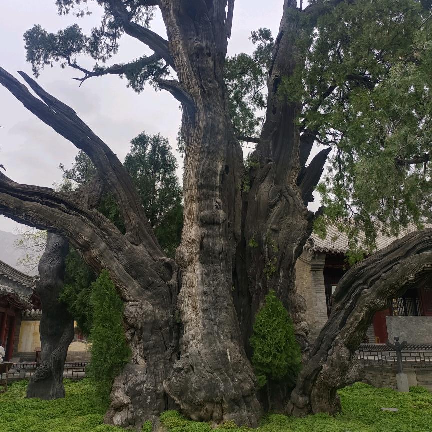 想想再说