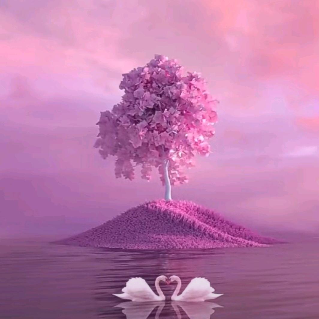 ꧔ꦿ℘时光💞᭄᪲ᩚ꯭ᩚ