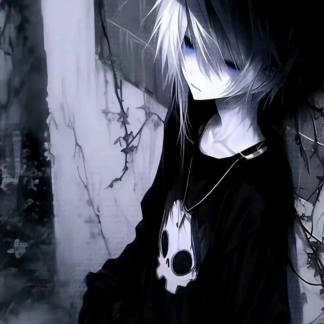 琴宝.