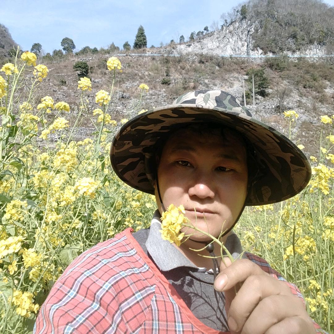 苦命情歌