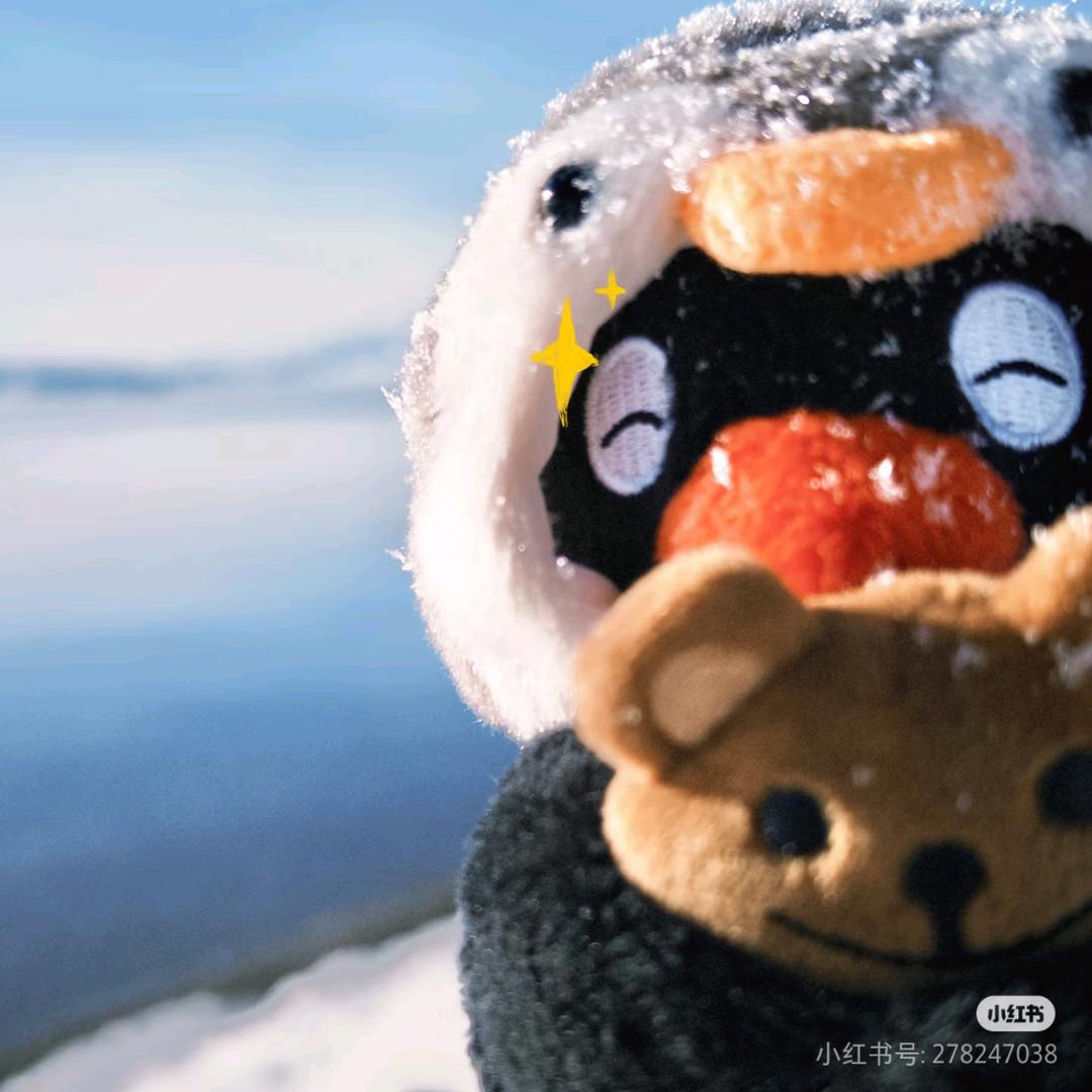 淳·简菈基次德