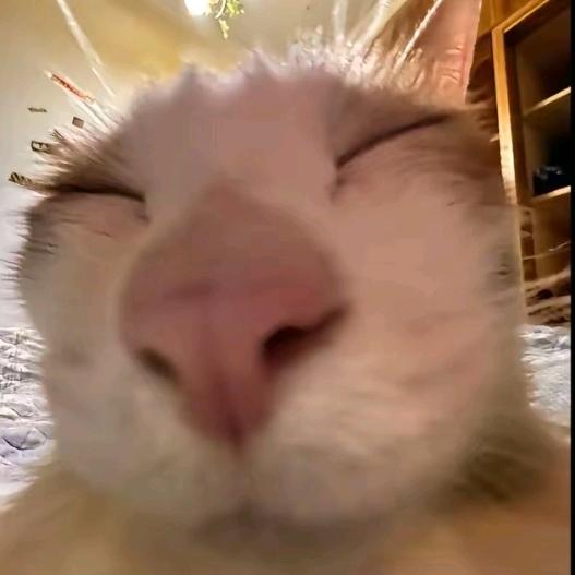 ❄