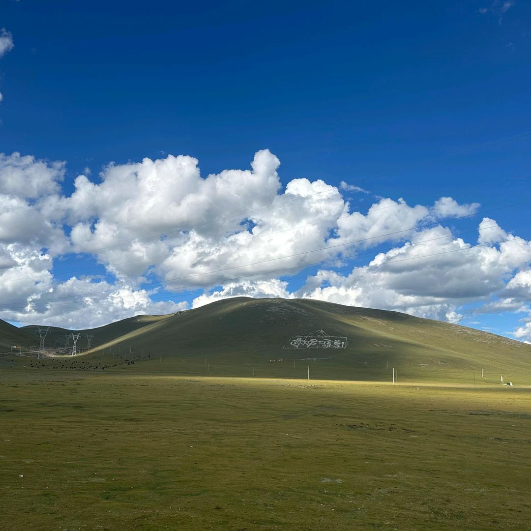 晚到～歌《最佳拍檔》