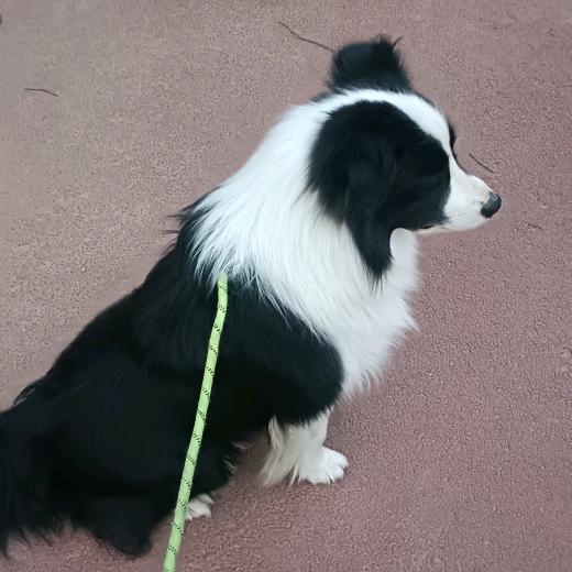 代扔家具床垫《免费搬家》