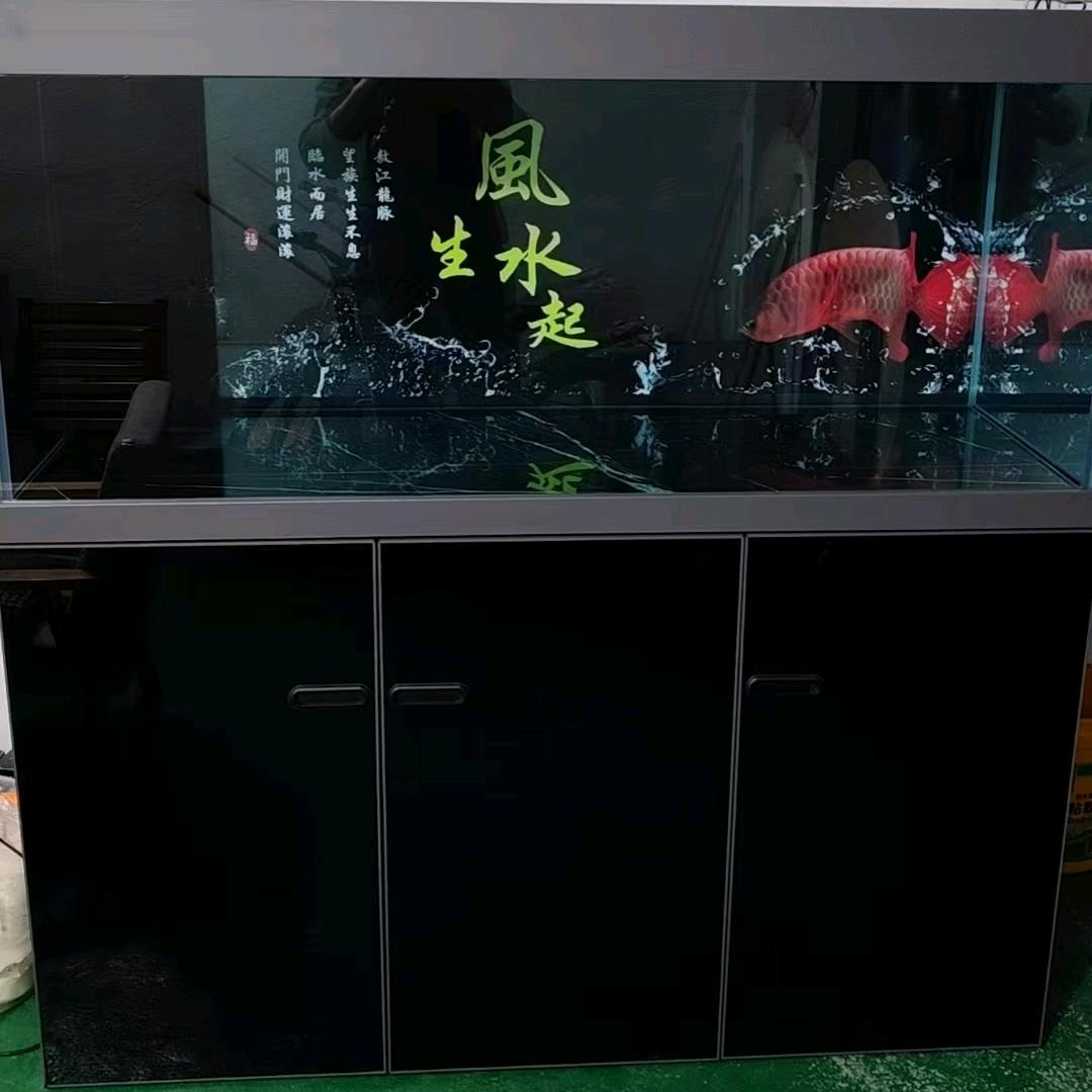 鱼趣龙门