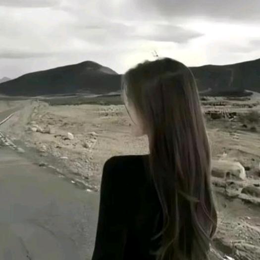 凤梨小公主