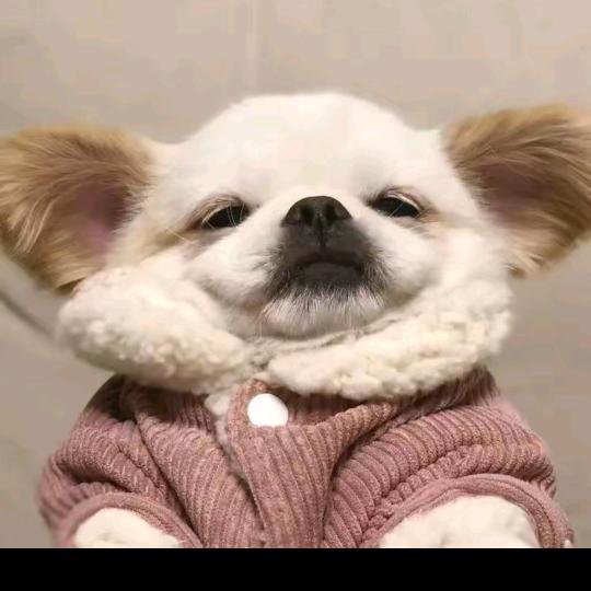 童掌柜严选优品