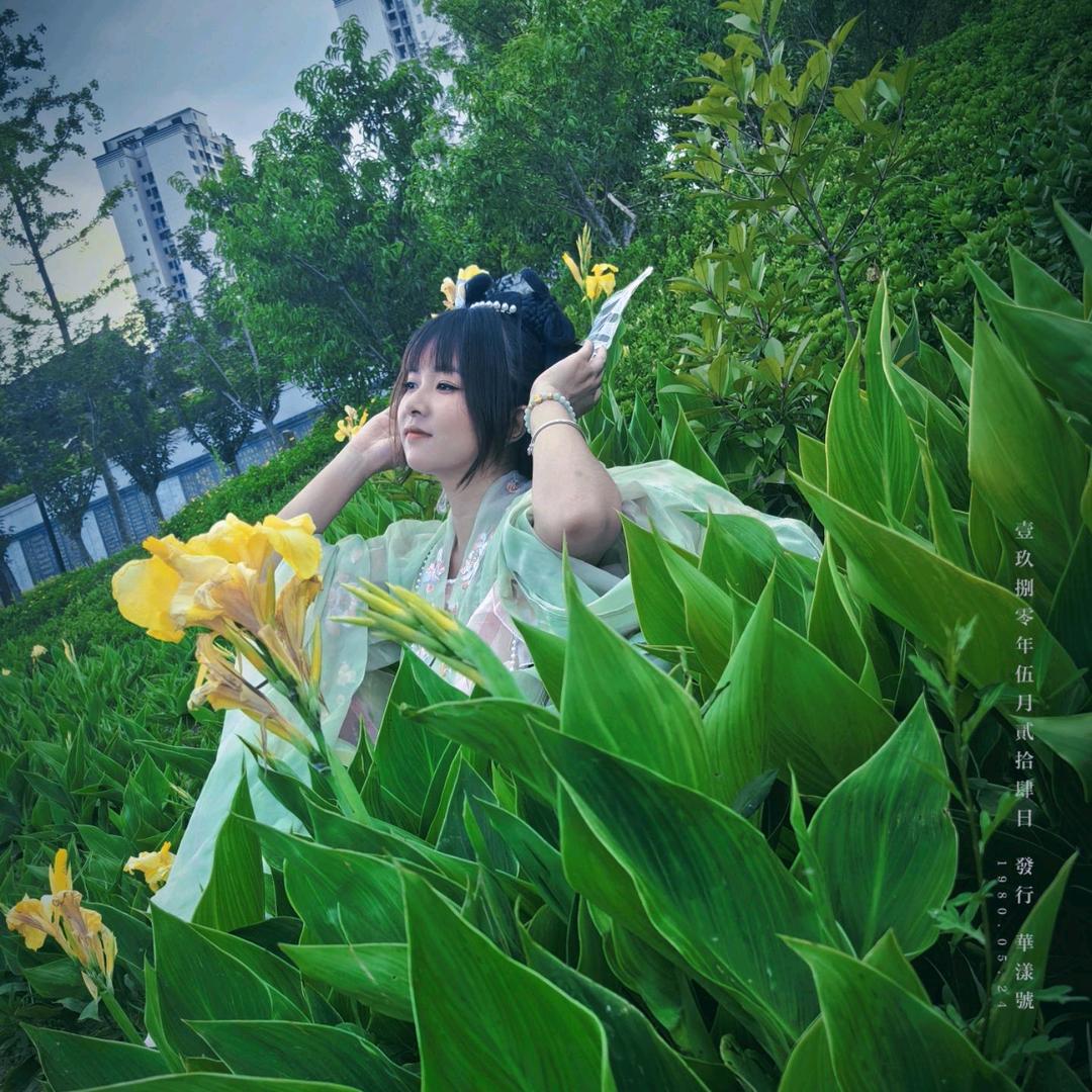 蓝桉:蝶