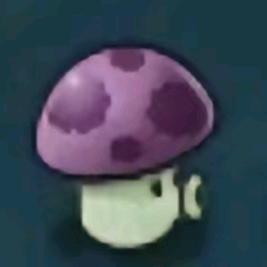 批发小军数学题