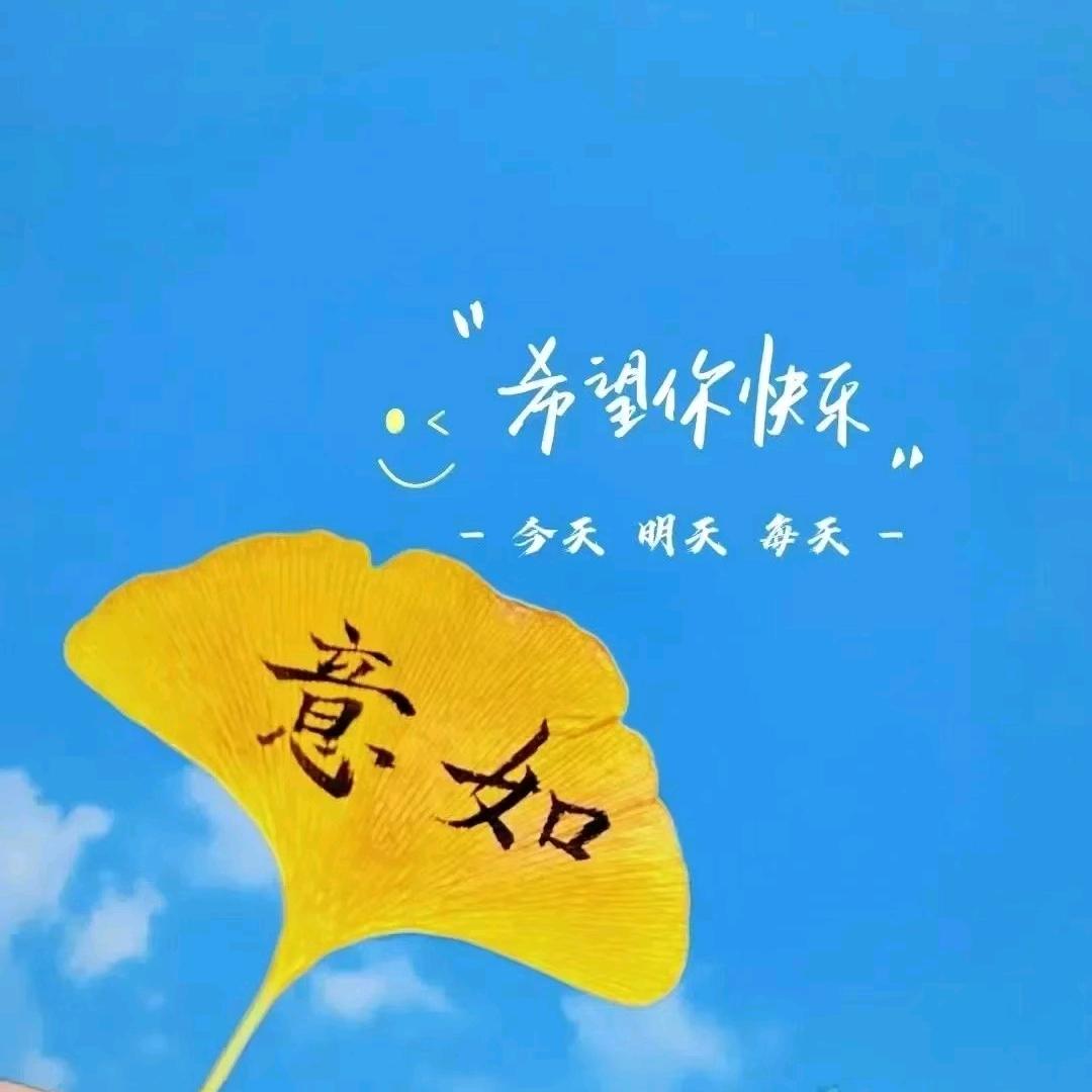 萱萱宝