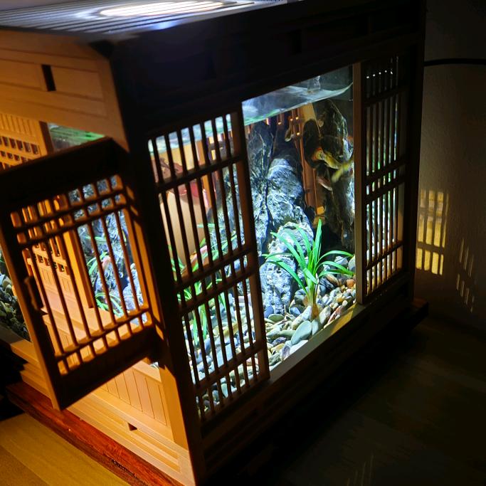 阿七玩微造景(可定制)