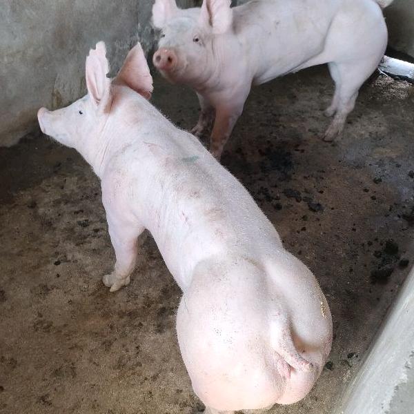 江苏乾之福农业发展有限公司