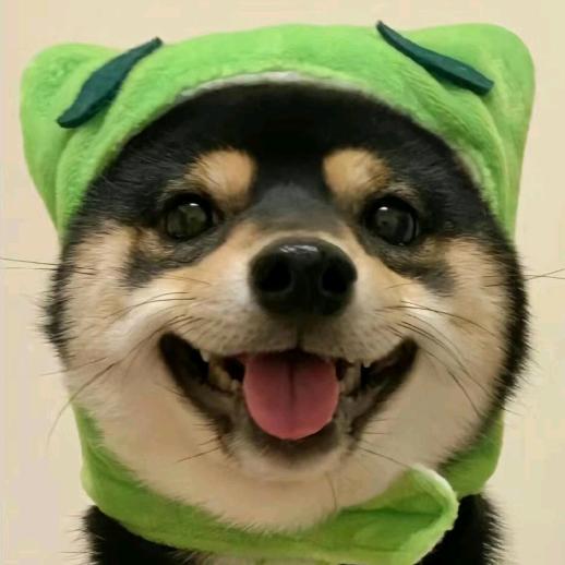 嘎嘣豆😊