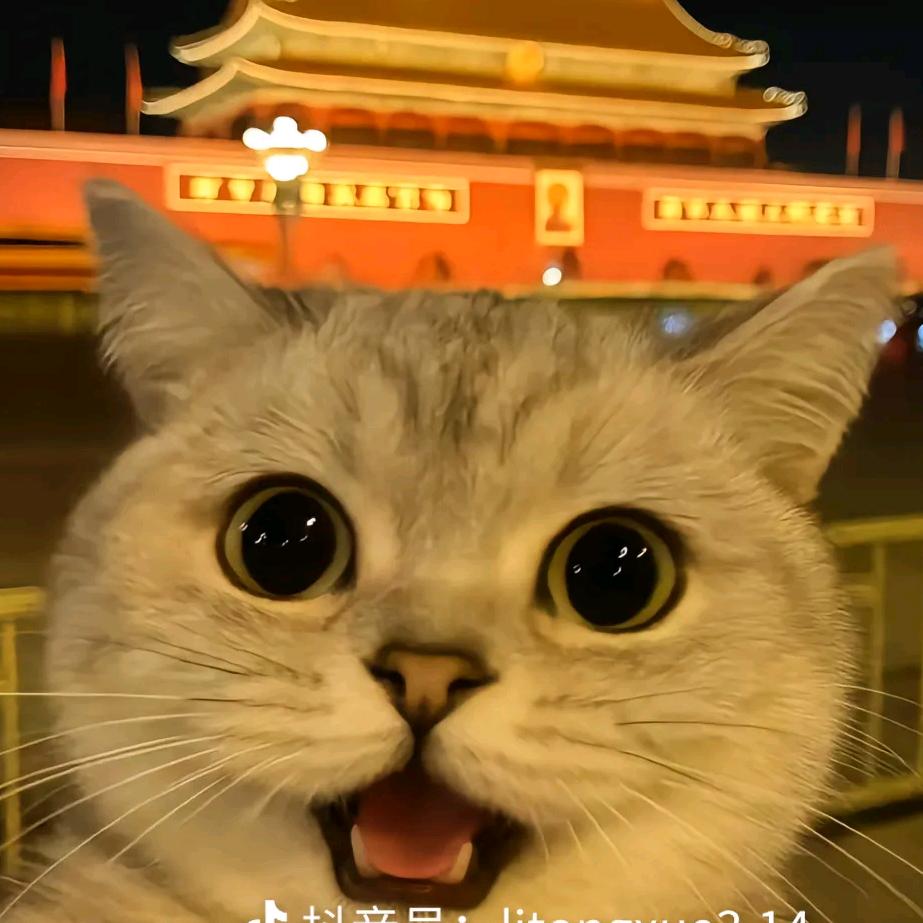 改命