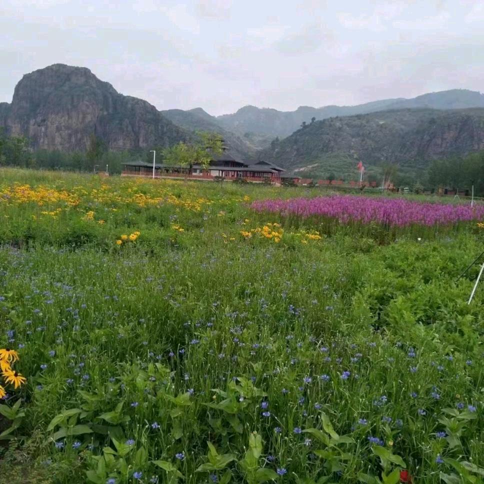无名号