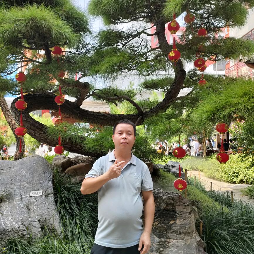 花好月圆圆