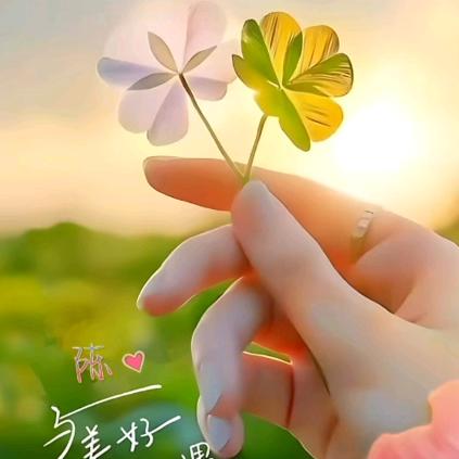 ✿ꦿ᭄臻芯