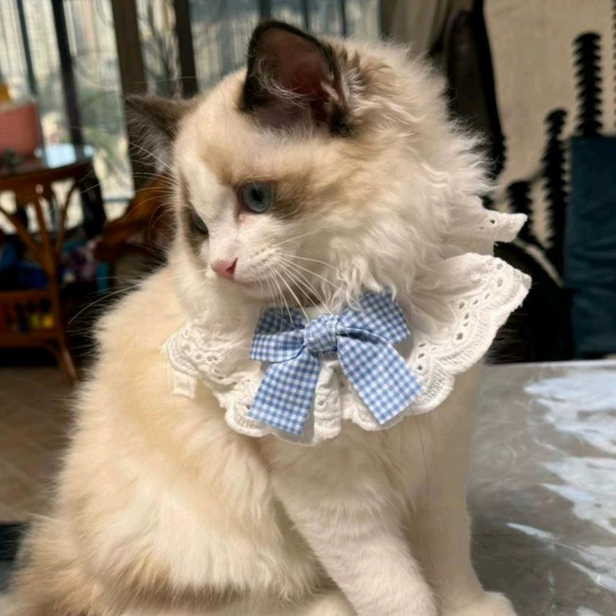 星期七一直在下雨