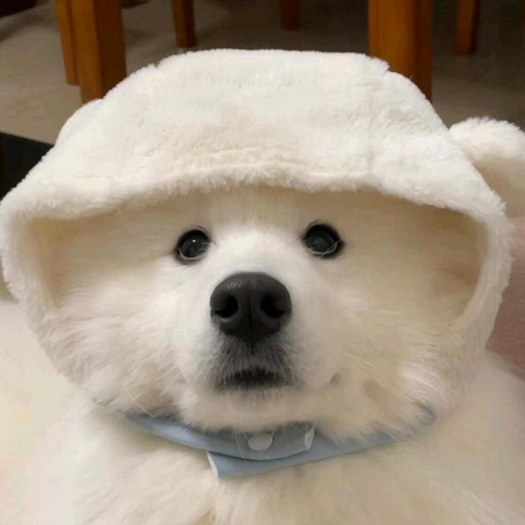 深深外星人ᅟᅟ