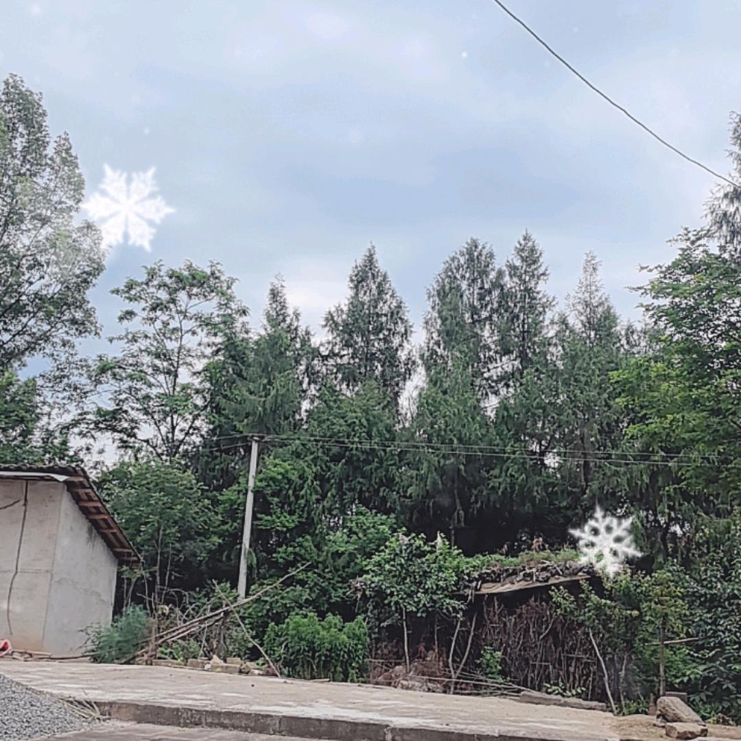 农村八队妞