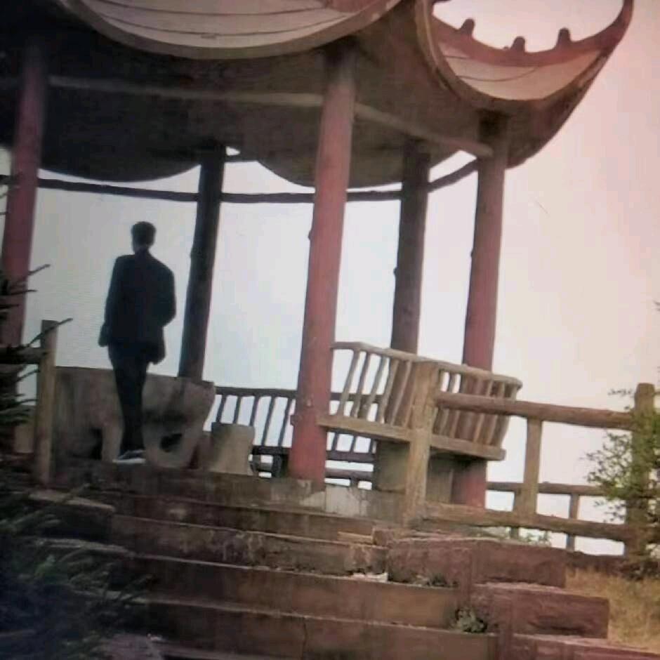 知己