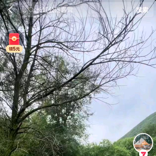 忧伤的羊