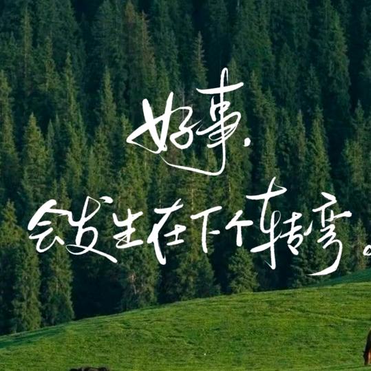 穆鸟战术板
