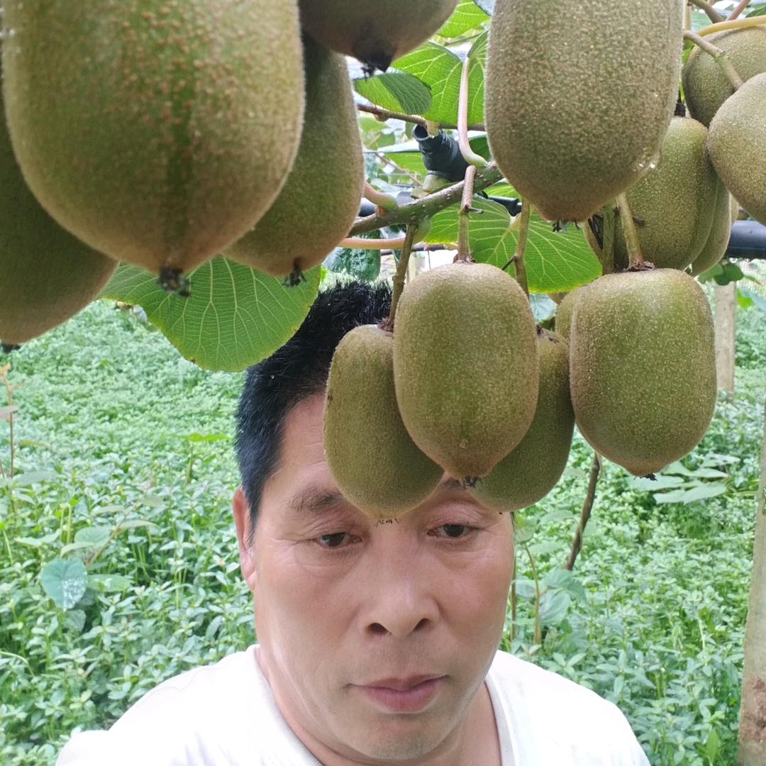 白衣楼专业嫁接