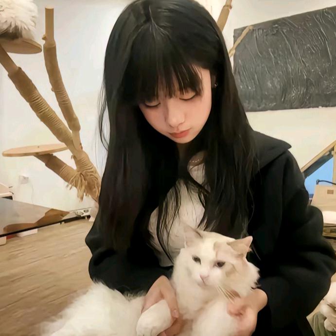 睡不醒zZZ