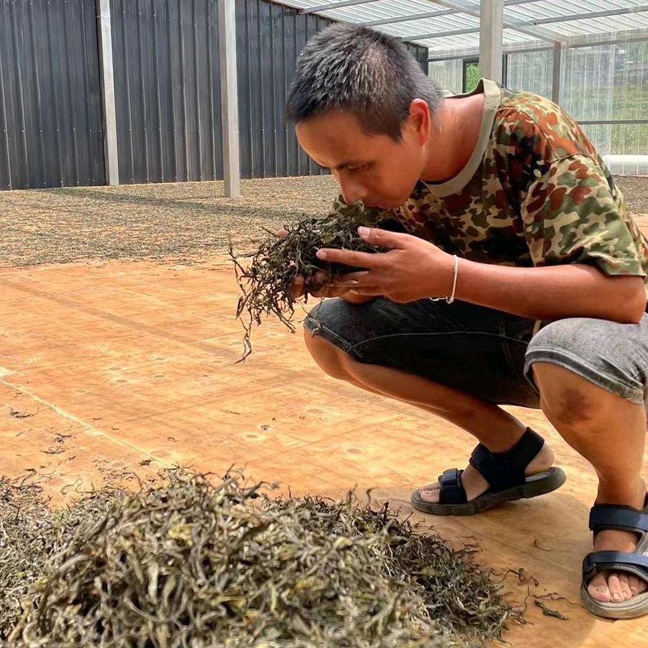 云南茶山江南