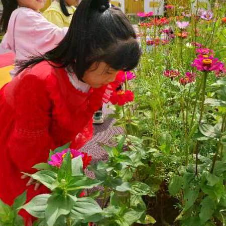 草🍓莓