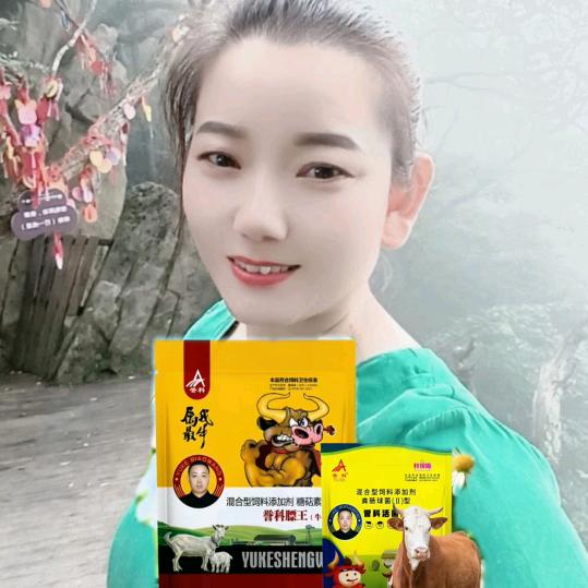 誉科膘王梅总